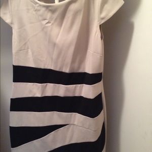 Women’s dress size 14